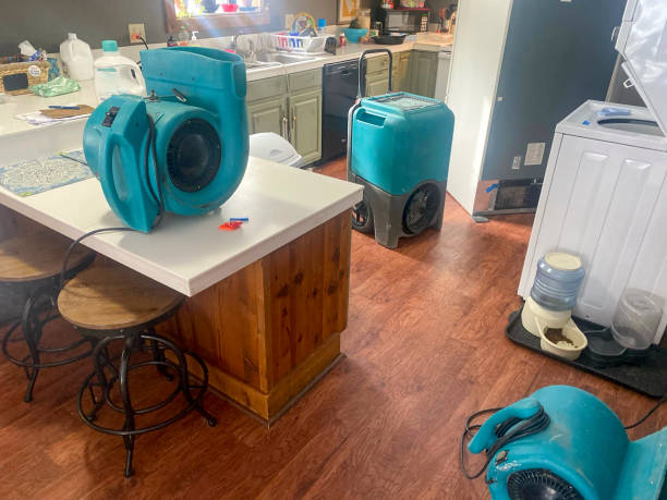Best Water damage restoration process  in Flemington, GA