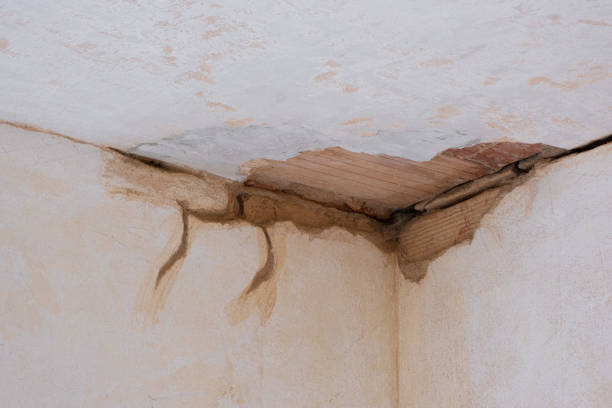 Best 24/7 water damage repair  in Flemington, GA