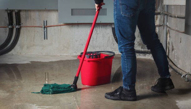 Best Mold removal after water damage  in Flemington, GA