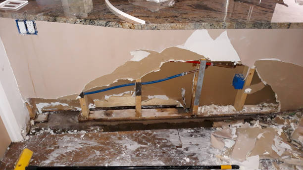 Best Water damage restoration services  in Flemington, GA