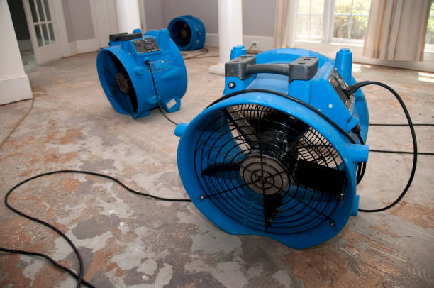 Best 24-hour water damage restoration  in Flemington, GA