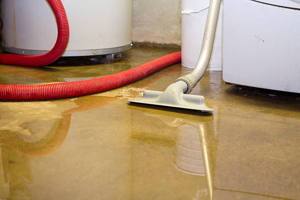 Best Fire Damage Restoration  in Flemington, GA