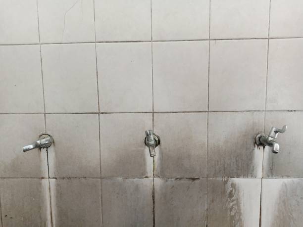 Best Sewage cleanup and water damage restoration  in Flemington, GA