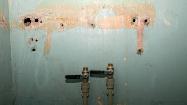 Best Residential water damage restoration  in Flemington, GA