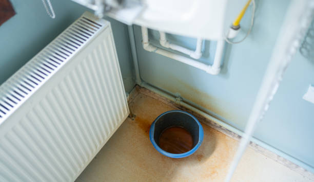 Best Local water damage restoration  in Flemington, GA