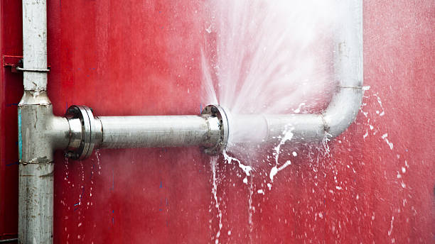 Best Local water damage restoration  in Flemington, GA